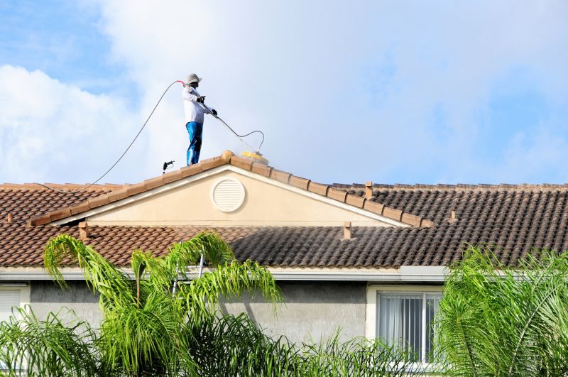 Local Roof Cleaning pros at work