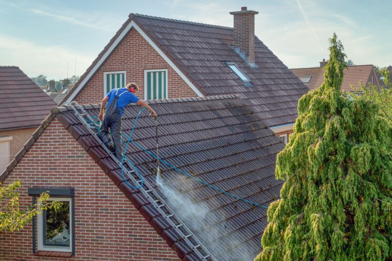 Roof Cleaning