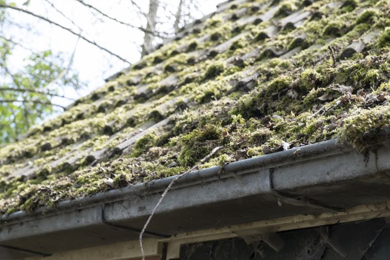 How Roof Cleaning Helps Prevent Mold, Algae, And Moss Growth