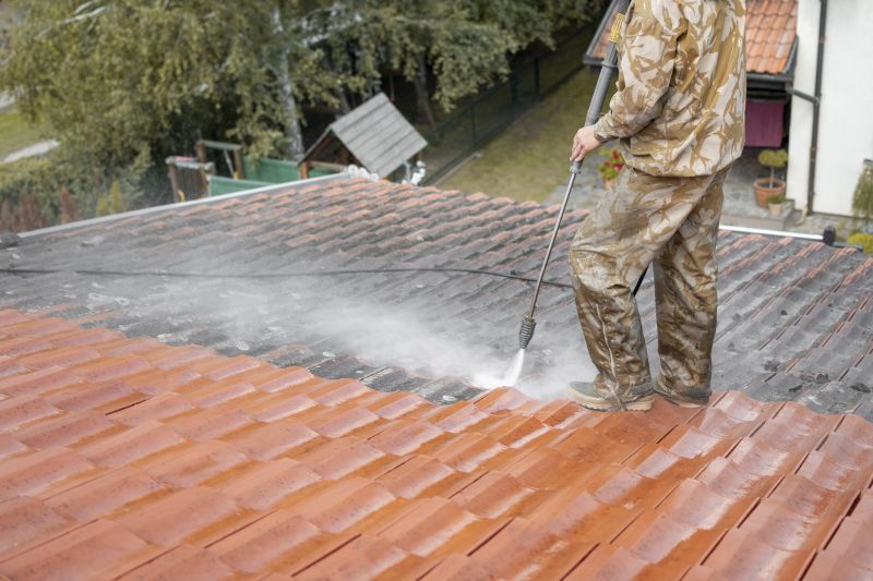 Professional Roof Cleaning in Action