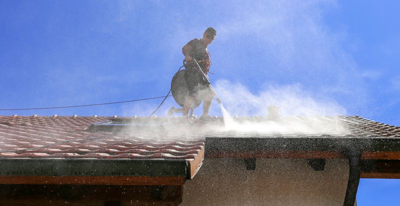 Roof Cleaning in Action